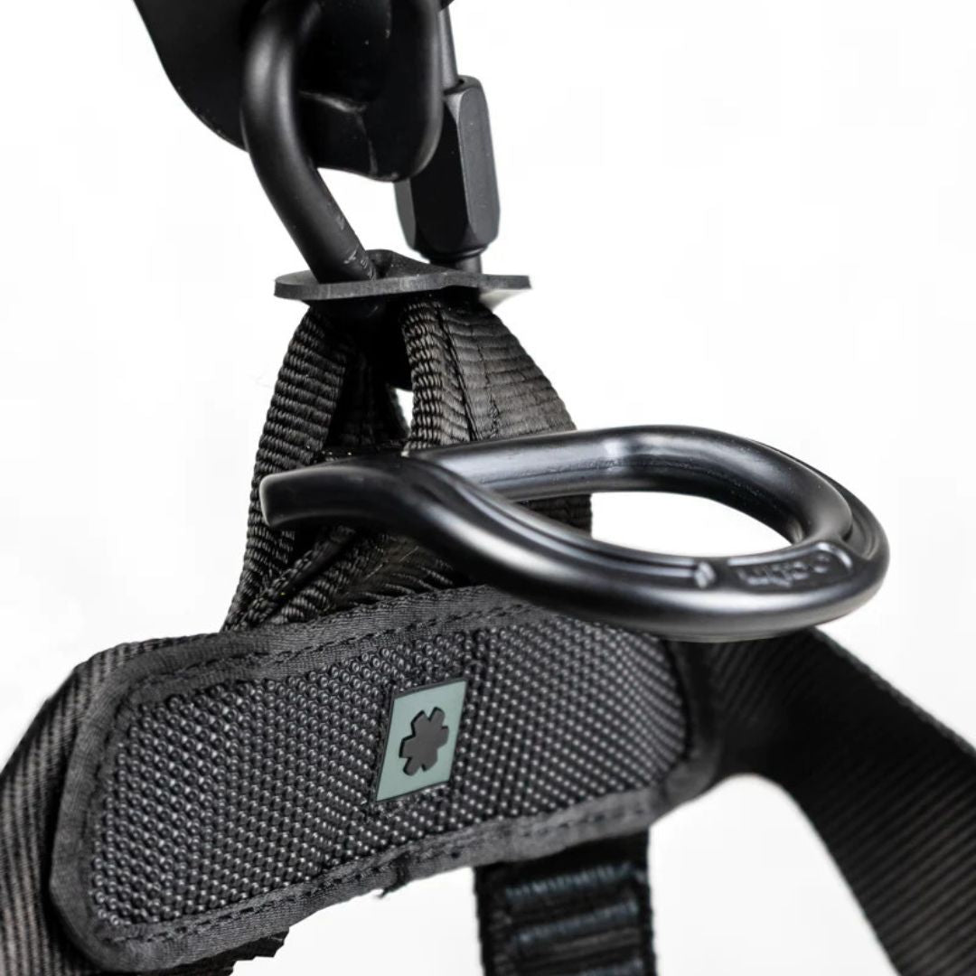 OCUN Thor Access 4Q Rope Access Harness Black Attachment