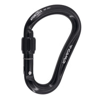 CAMP Atom Screwgate Alloy Carabiner CAMP292104 front