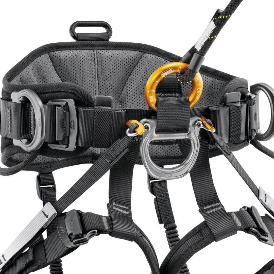 PETZL Avao Sit Harness 2025 attached