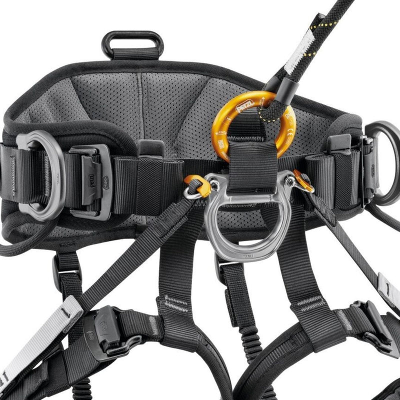 PETZL Avao Sit Harness 2025 attached