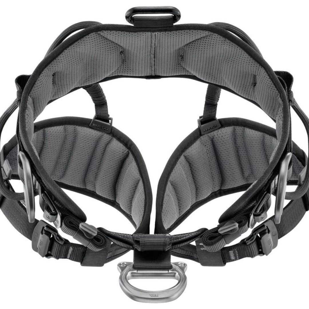 PETZL Avao Sit Harness 2025 inside